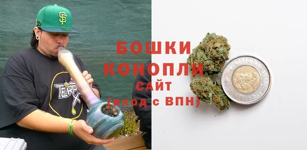 прущие грибы Бугульма