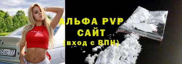 ECSTASY Богданович