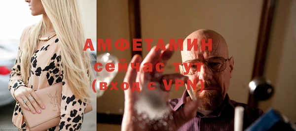 spice Богородск