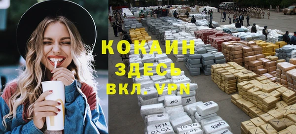 прущие грибы Бугульма