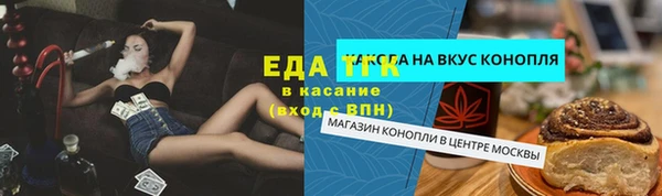 гидра Бородино