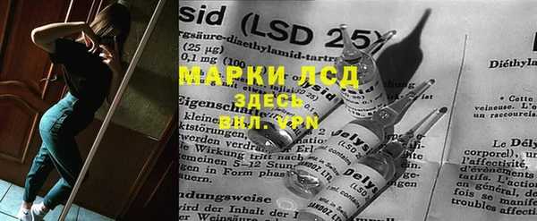 ECSTASY Богданович