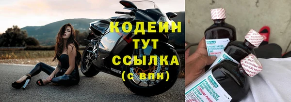 гидра Бородино