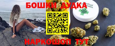 крисы Лесосибирск