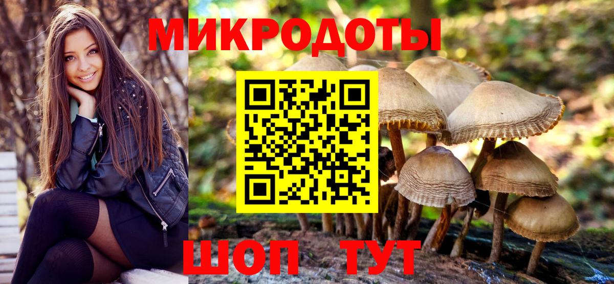 Галлюциногенные грибы мухоморы Гулькевичи