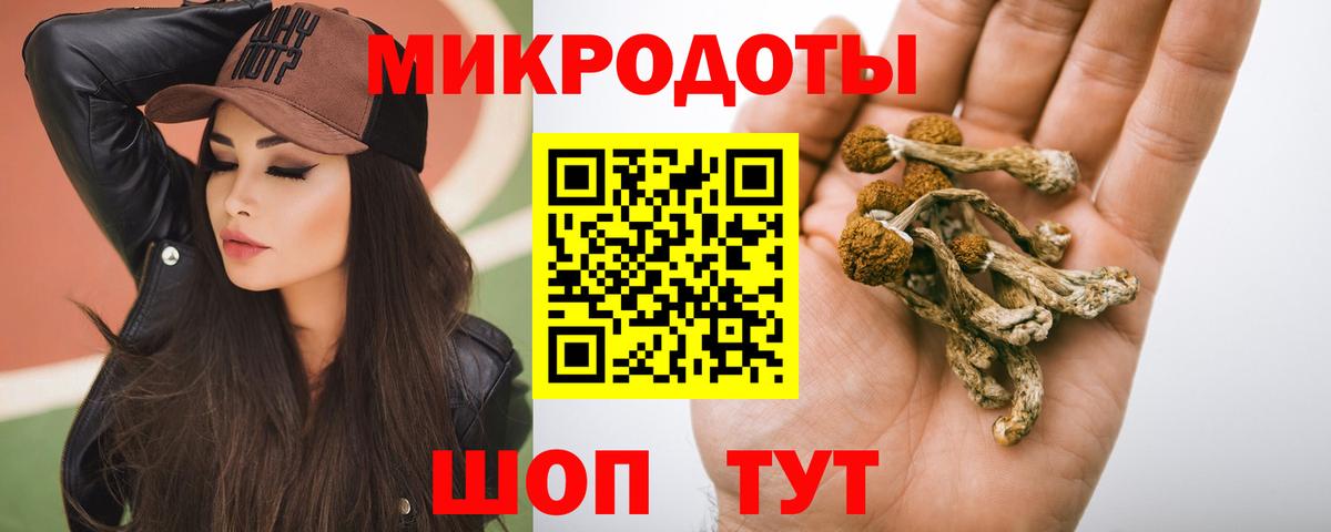 Галлюциногенные грибы Cubensis  Вход с VPN  Гулькевичи 